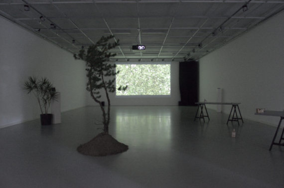installation view 