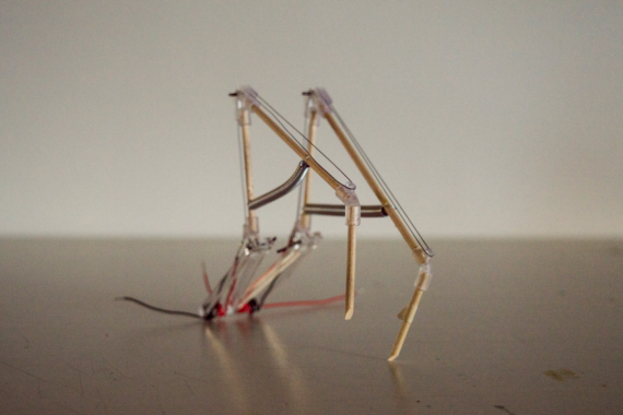 first prototype 