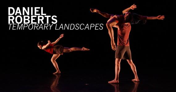 Temporary Landscapes, by DANIEL ROBERTS