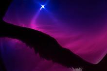 distant light