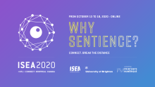 ISEA 2020