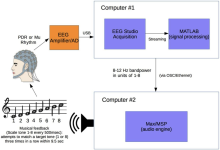 Encephalophone block diagram
