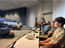 Image from Panel