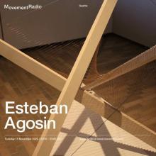Transmission Ecologies, with Esteban Agosin