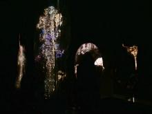 Silicone Love - Her Garden by Chun Shao. A group photo of the sculptures.