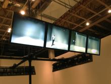 James Coupe's installation "Swarm"