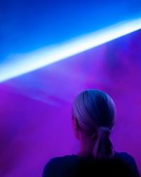 Maja Petric, Horizon