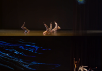 Image from performance