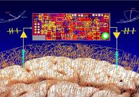 Closed-loop Brain-Computer Interface 