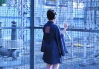 Hilbert curve wearable fractal antenna