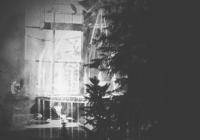 The Woods Enclose