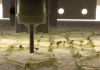 Capacity for (urban eden, human error) | By Allison Kudla