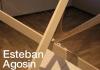 Transmission Ecologies, with Esteban Agosin